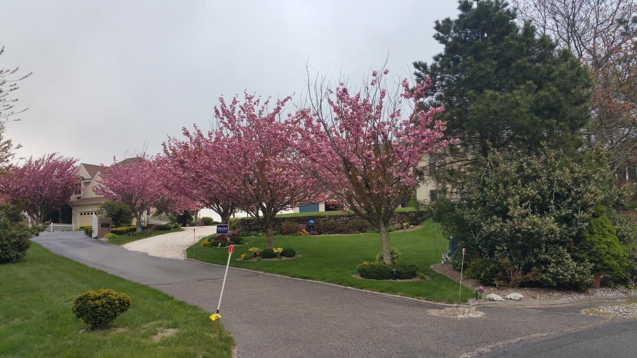 Inn 38 Oak Bluff Circle Plymouth Dış mekan fotoğraf